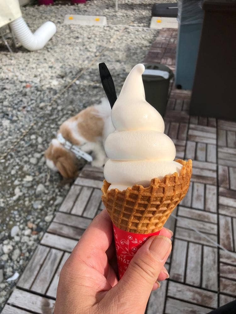 生 Cheese Soft NICORI