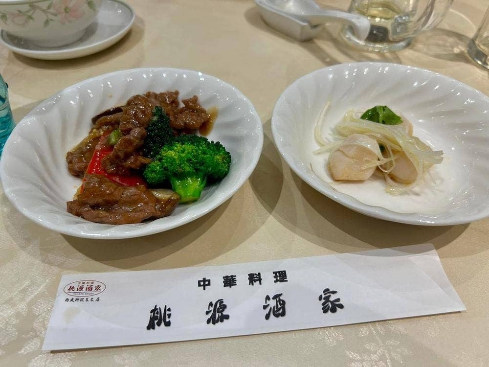 中華料理 桃源酒家