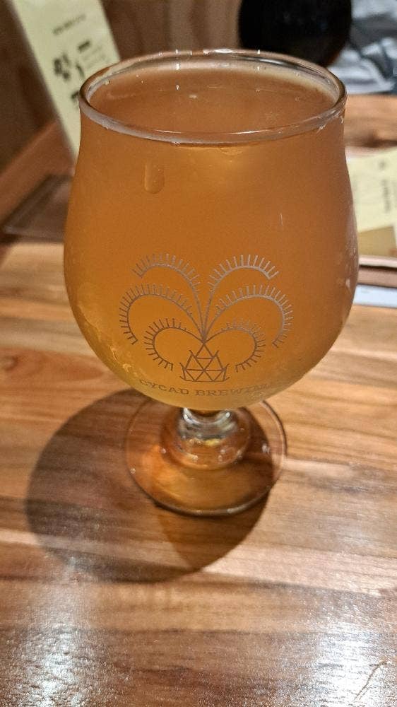 CYCAD BREWING