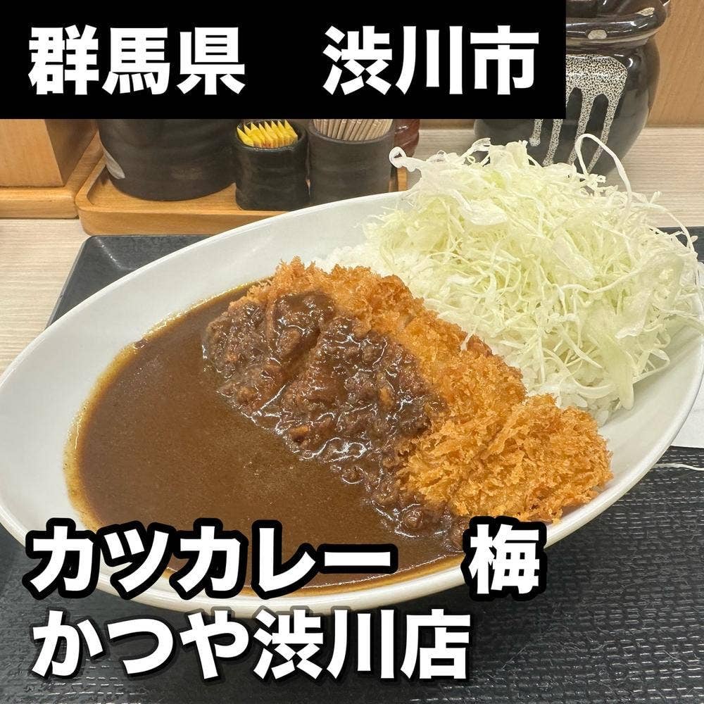 かつや 群馬渋川店