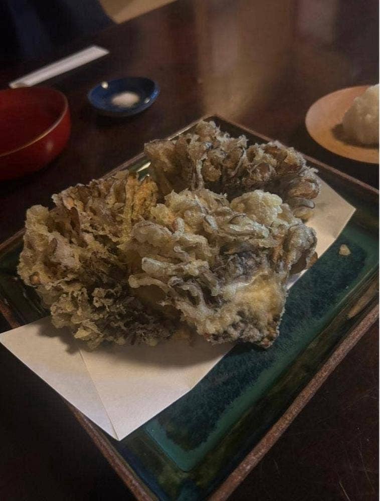 草庵