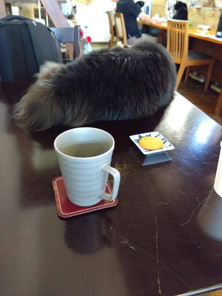 Cafe REBEL