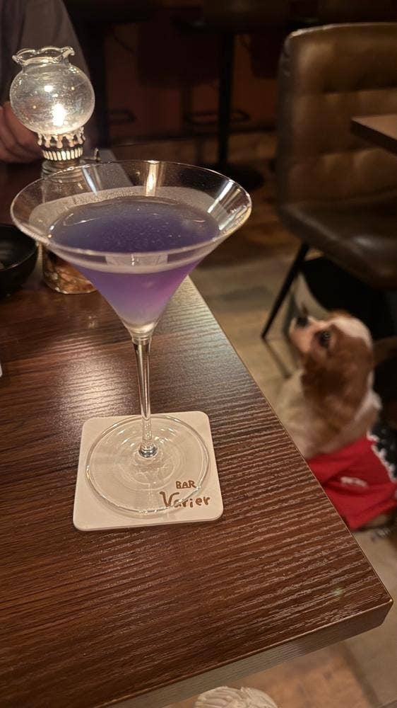 Bar valier 犬がいるBar