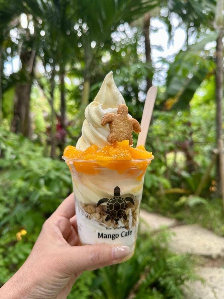 Blue Turtle Farm Mango Cafe
