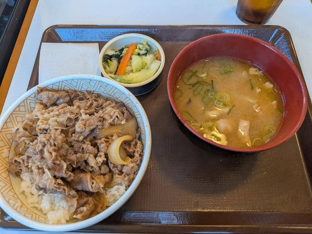 すき家 8号坂井丸岡店