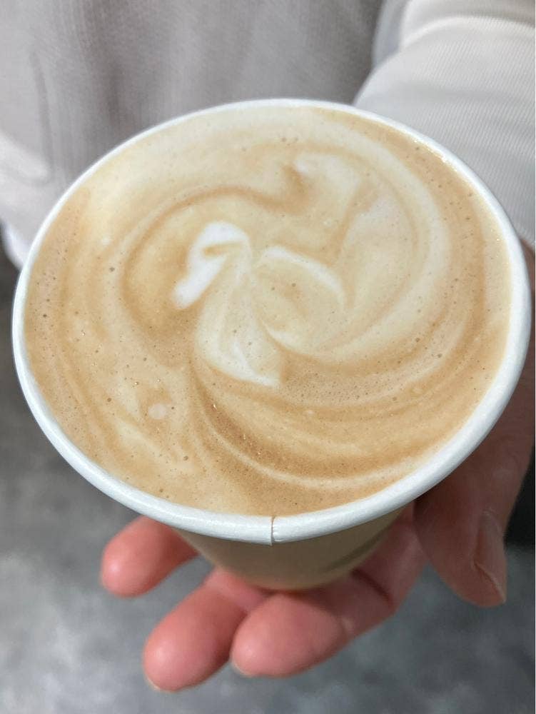 ナナサン plants+coffee