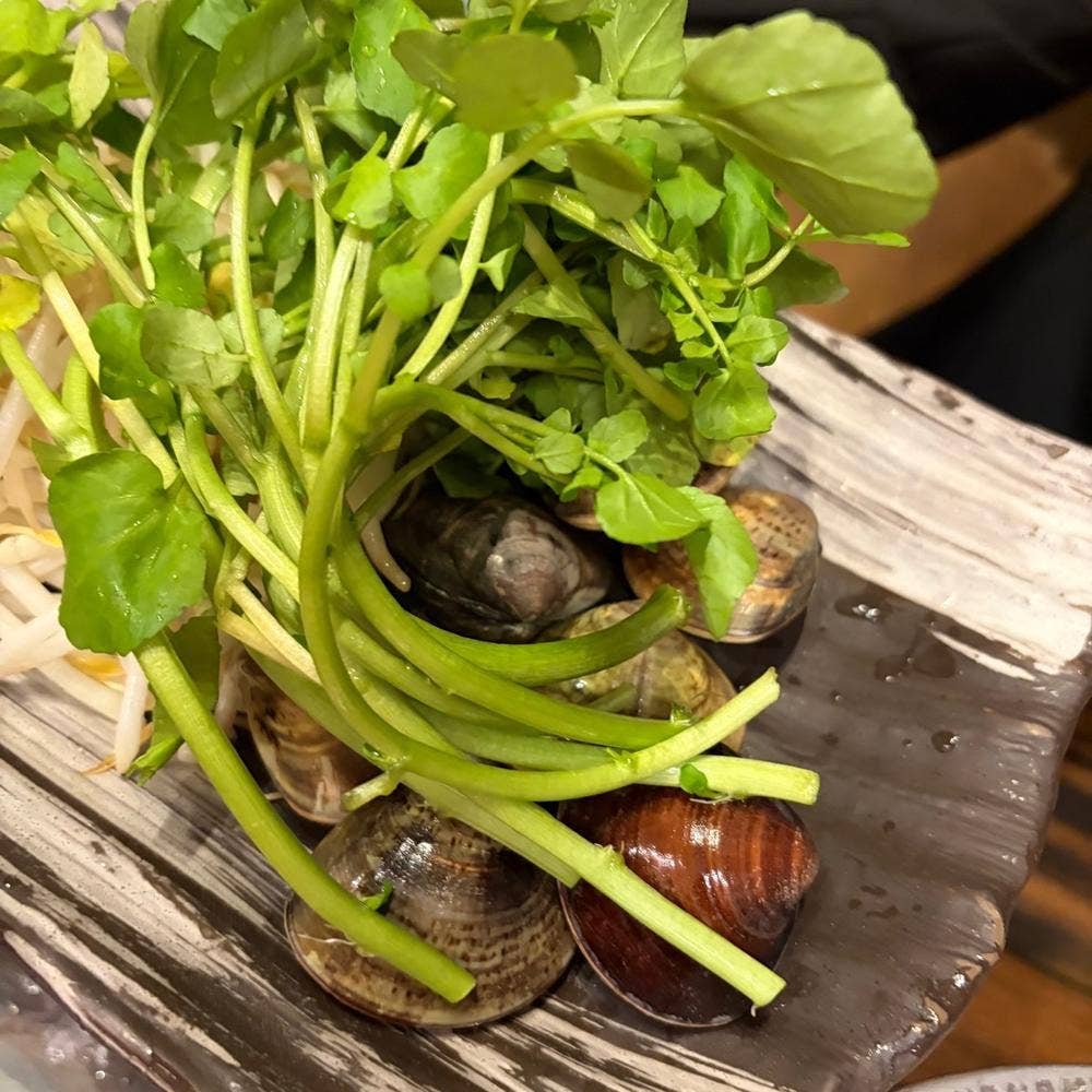 味庵 TSUBAKI