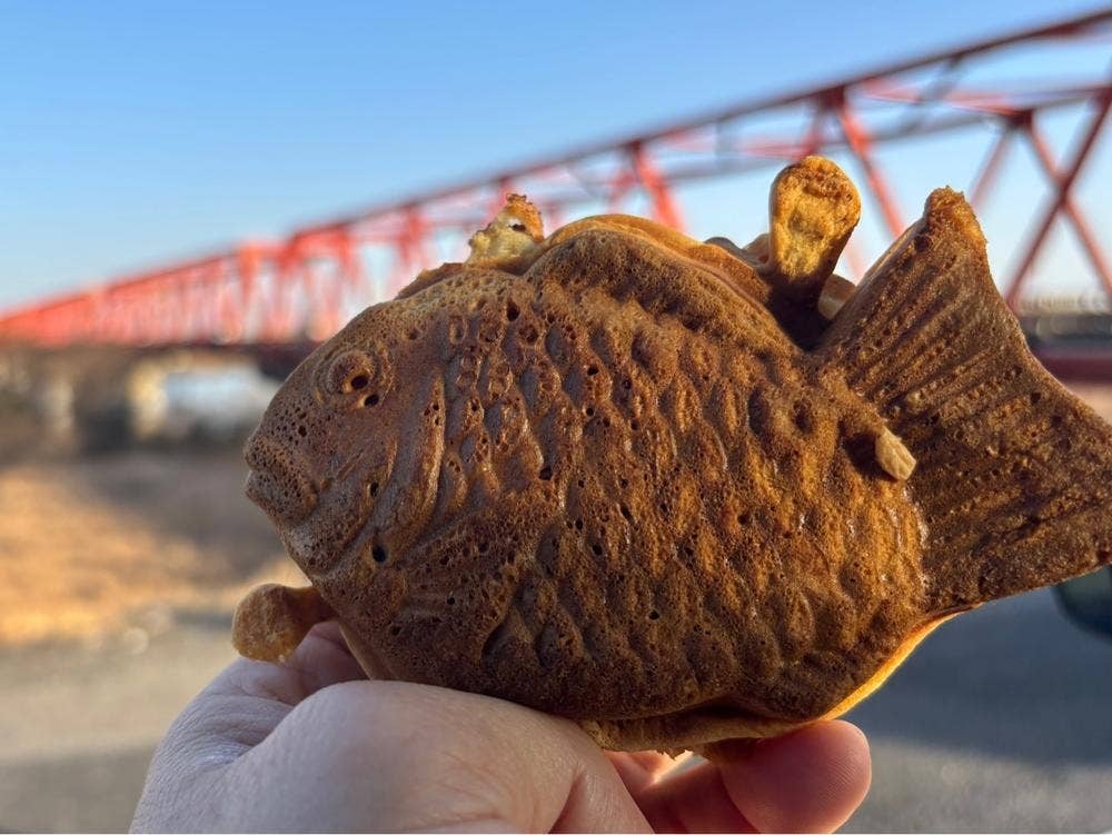佐溝屋