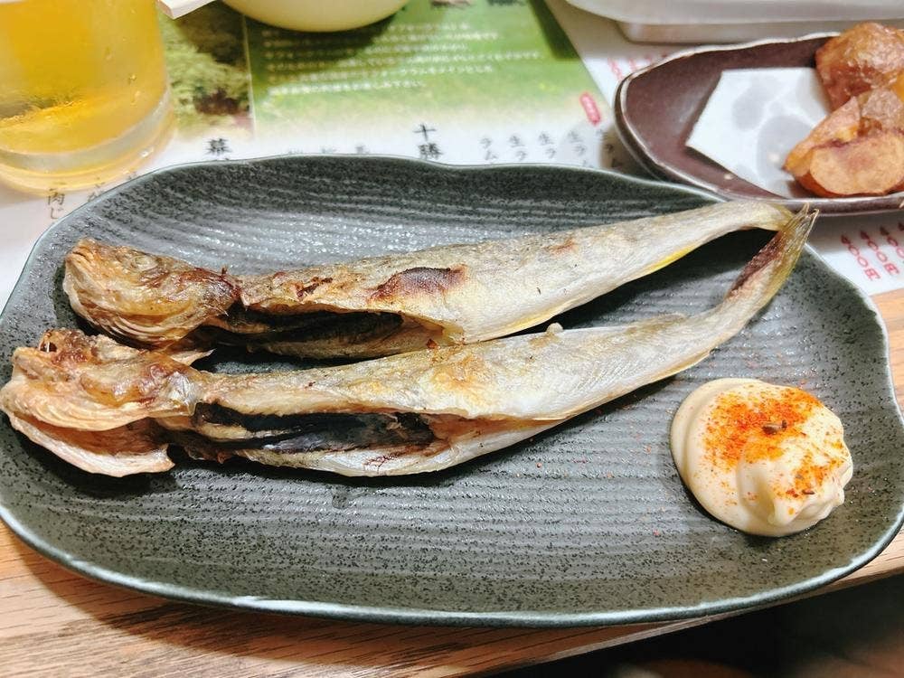 琥羊