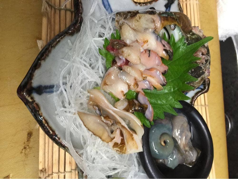 うさぎ