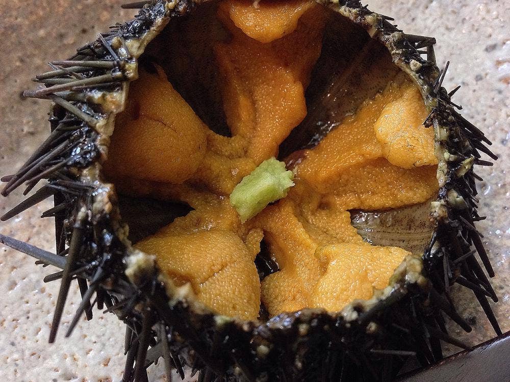 辰寿し