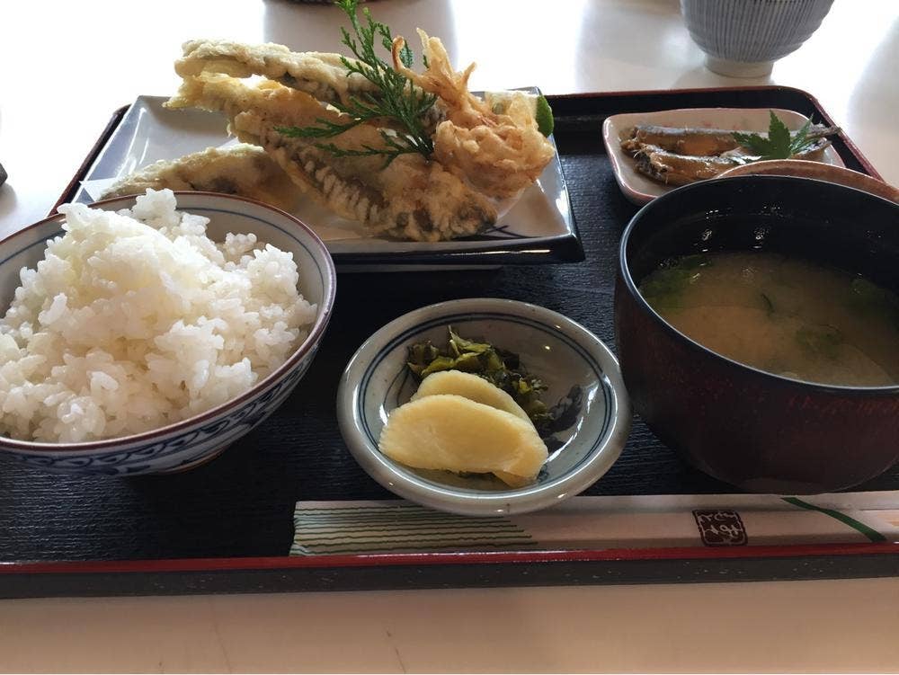道の駅 やよい