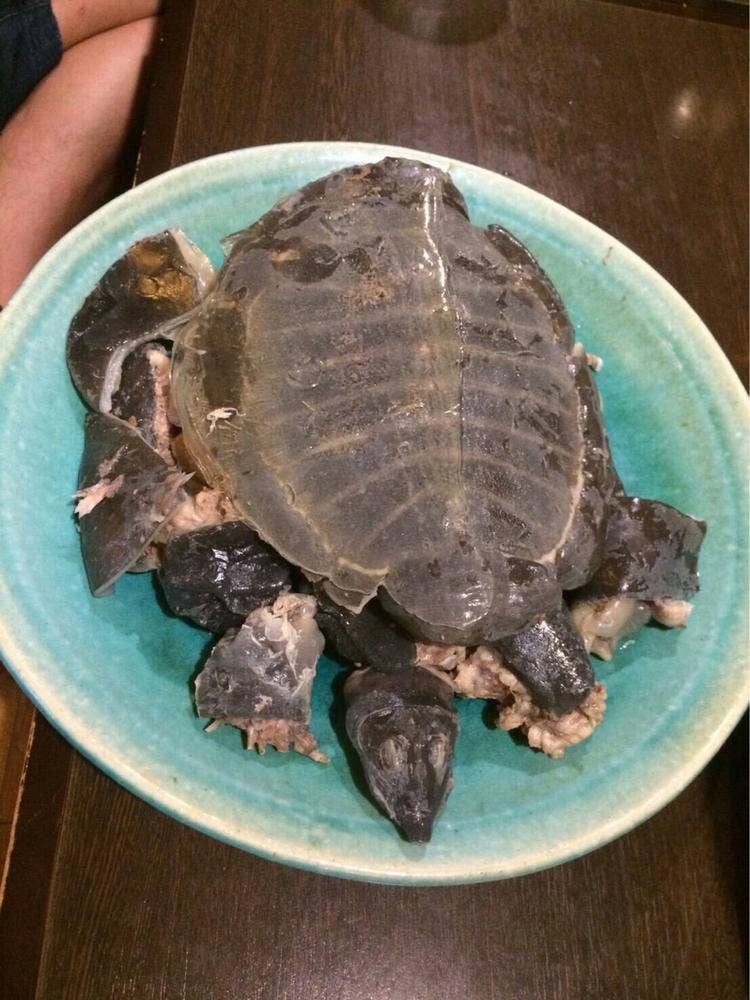 味の店 ゆたか