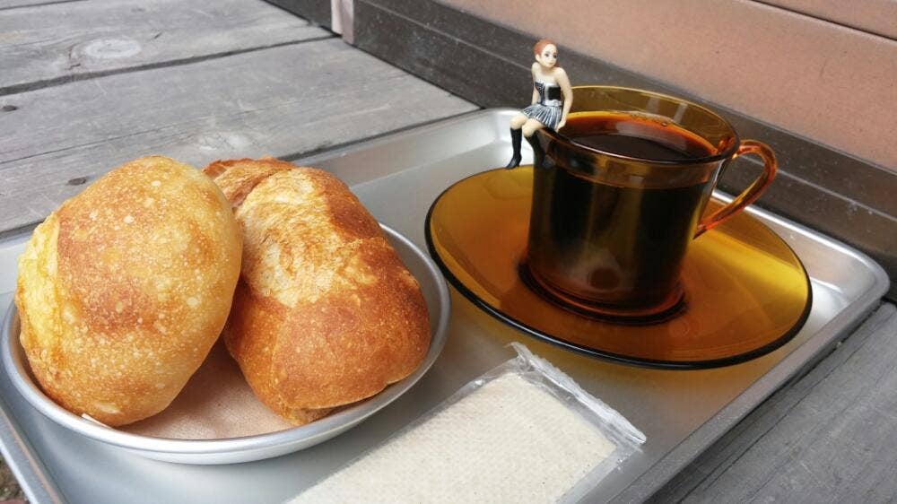 pan tocori