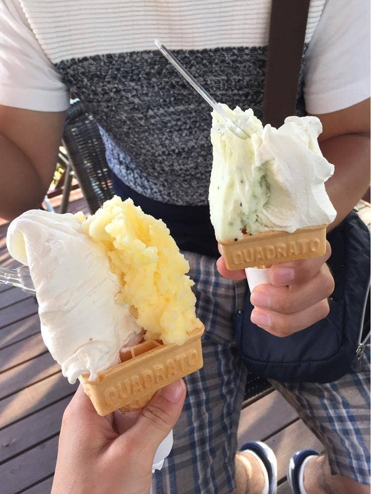 ドルチェかがみ