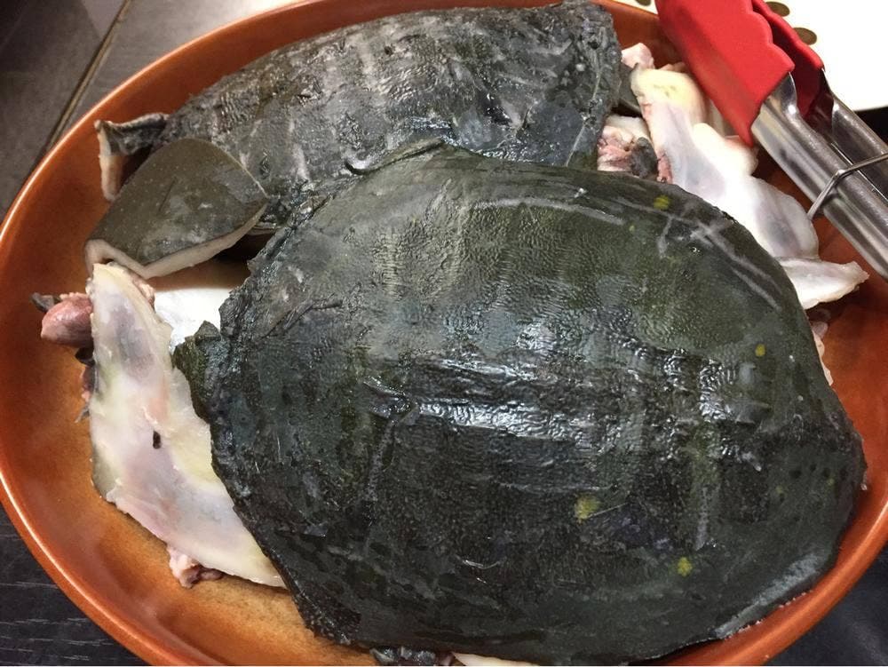 居酒屋 味楽