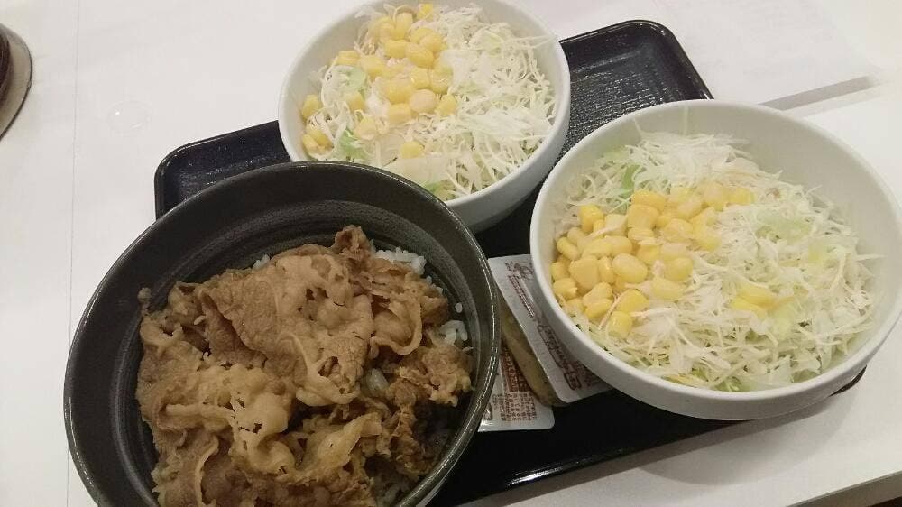 吉野家 1号線御油店