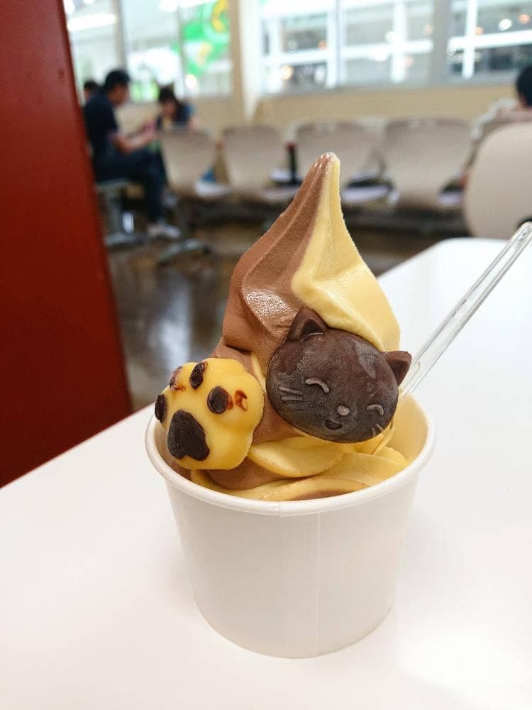 売店 群馬サファリパーク