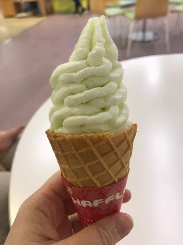 道の駅七城メロンドーム