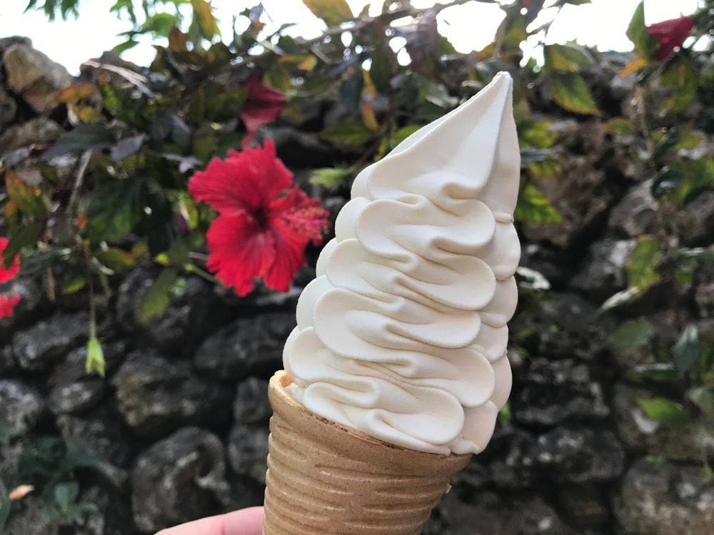 パーラーターミー