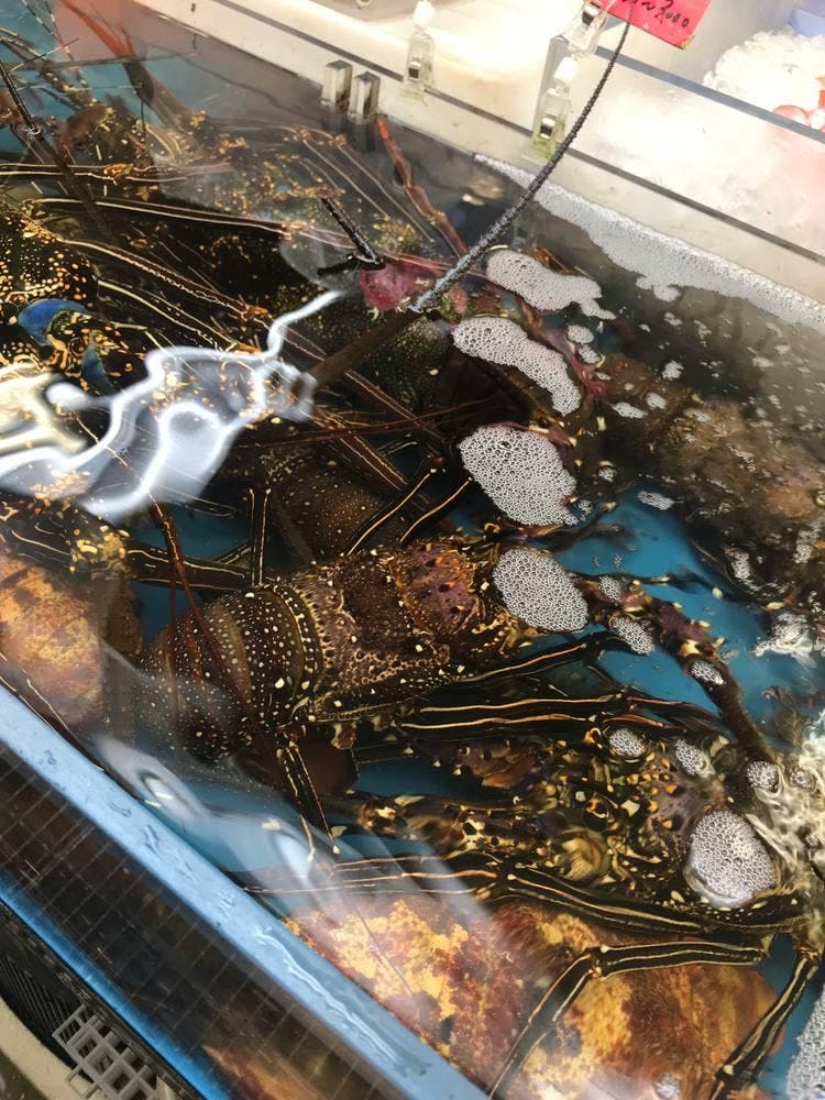 お食事処 美ら華 那覇市第一牧志公設市場