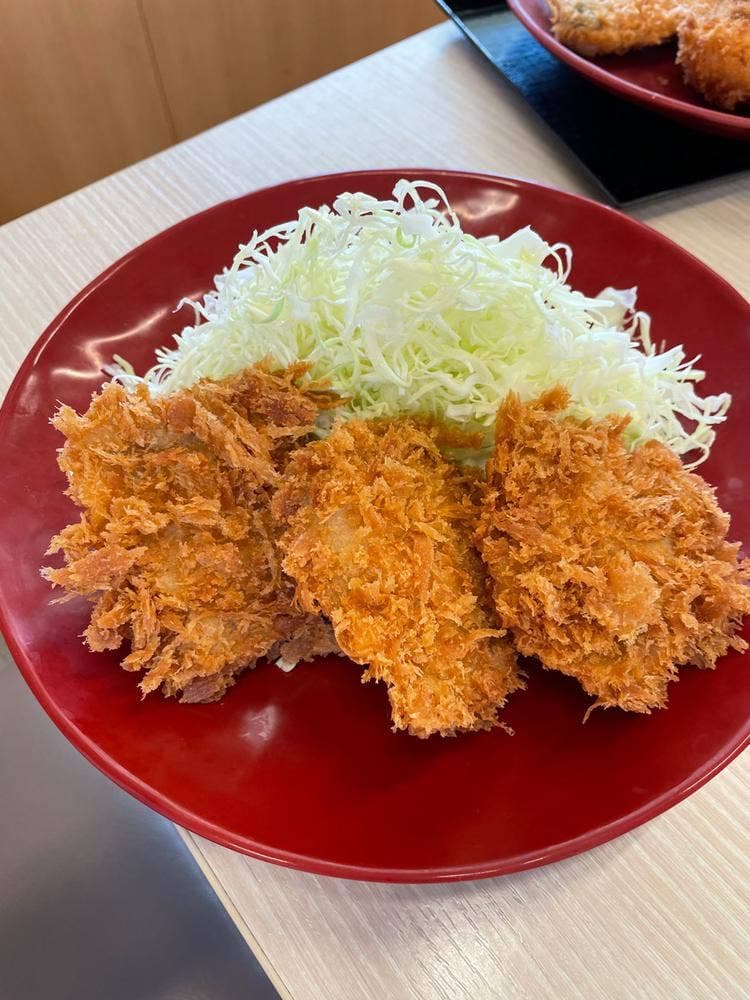 かつや 静岡藤枝店