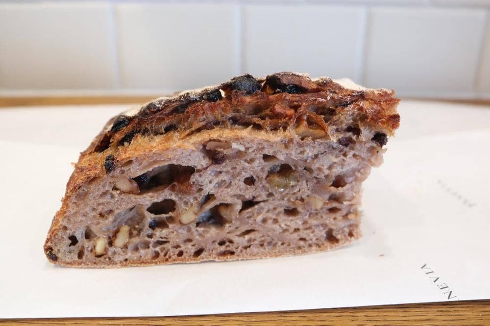 PANEVIA