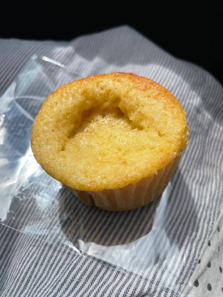 うつくしテラス