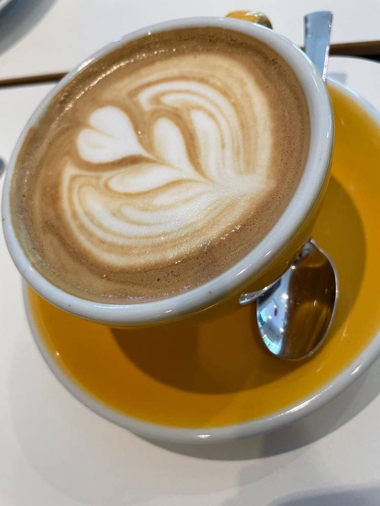 Cafe Camel