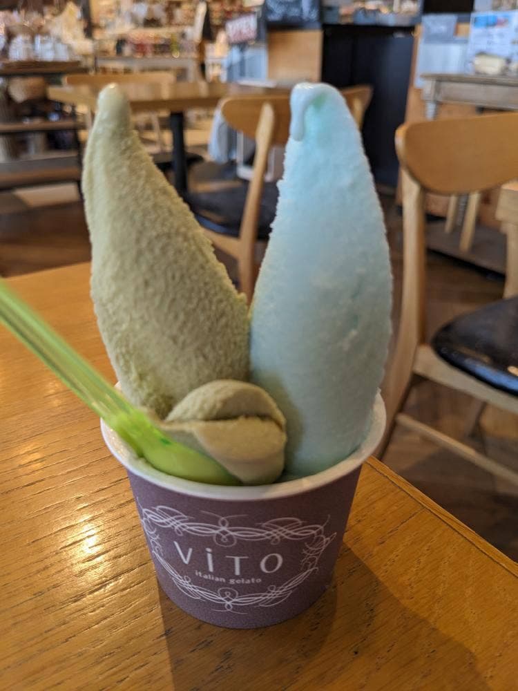 Vito×HUMPTY DUMPTY 守谷店