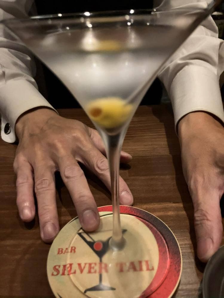 Bar Silver Tail