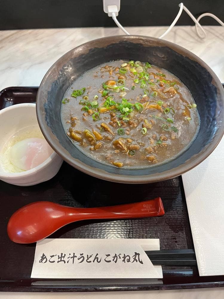 あご出汁うどん こがね丸 中部国際空港店