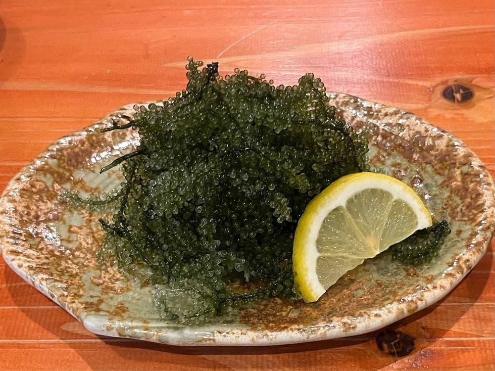 地酒と地産料理 なぎじ