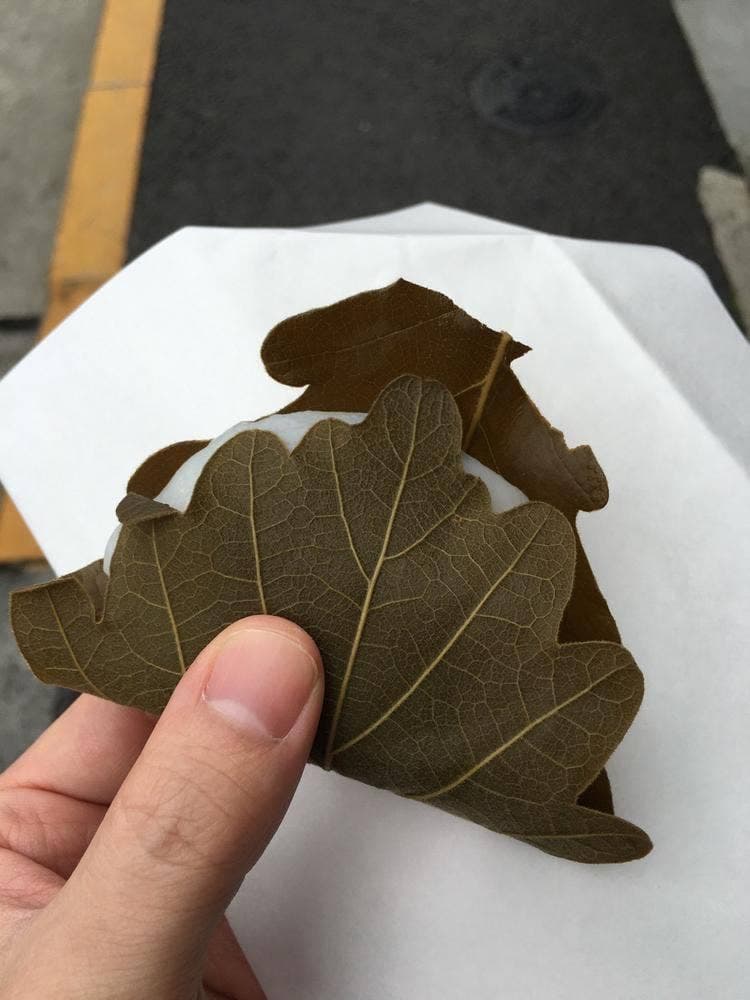 清水