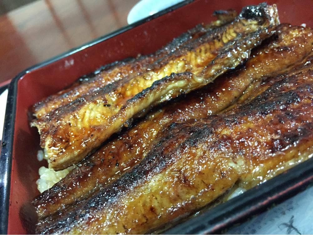 魚文