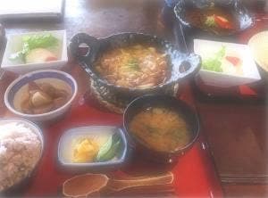 どんぐりと山猫の森