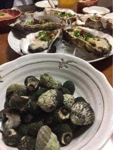 浜んこら 本店