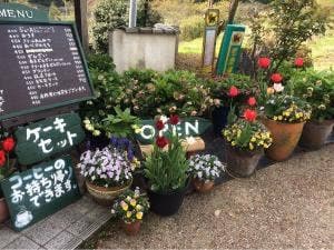 さわだ