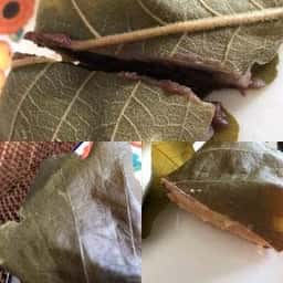 森下伊勢屋