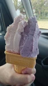 安達太良高原観光牧場 あだたら高原 アイスクリームガーデン