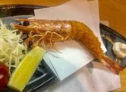 旬菜旬魚 きくの
