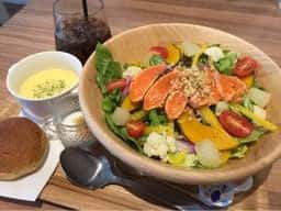 SYLPHY SALADE
