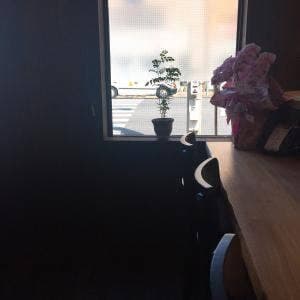 うまいもの篠原