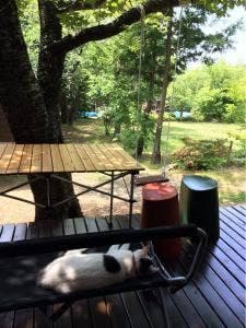 手あぶり焙煎 くろねこ珈琲