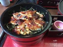 鰻の魚勇