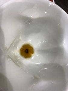 和膳 花庵
