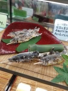 とみかわや牛川本店