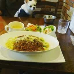 シーサイドカフェ ライスボール