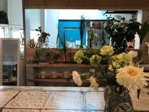スタジオクートカフェ