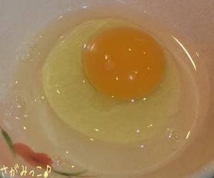 INOUE EGG FARM